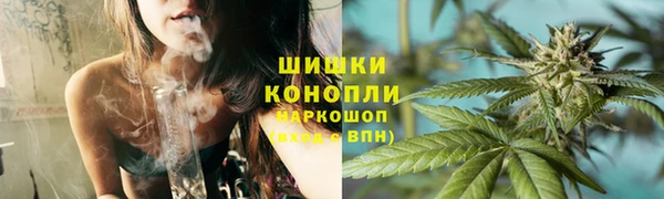 PSILOCYBIN Вязники